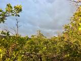1556 Tree Top Ln - Photo 11