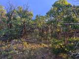 1556 Tree Top Ln - Photo 14