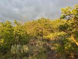 1556 Tree Top Ln - Photo 15