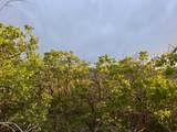 1556 Tree Top Ln - Photo 16