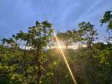 1556 Tree Top Ln - Photo 4