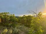 1556 Tree Top Ln - Photo 5
