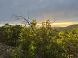 1556 Tree Top Ln - Photo 6