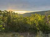1556 Tree Top Ln - Photo 7
