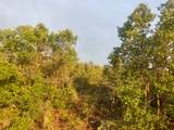 1556 Tree Top Ln - Photo 10