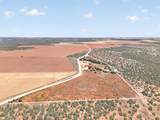 1251 Eastland Rd - Photo 3