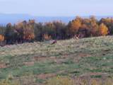 1251 Eastland Rd - Photo 66
