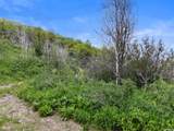 4891 Woodland Way - Photo 5