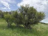 6876 Hwy 36 - Photo 21