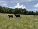 6918 Hwy 36 - Photo 23