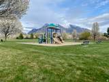 302 Seagull Ln - Photo 51