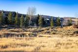 705 Hollyhock St - Photo 12