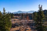 705 Hollyhock St - Photo 13