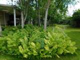 2148 Carolyn Way - Photo 33