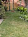2148 Carolyn Way - Photo 50