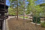2325 Sidewinder Dr - Photo 15