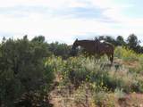 5929 350 - Photo 1