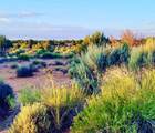 5929 350 - Photo 4