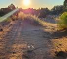 5929 350 - Photo 5