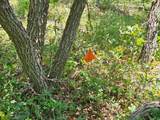 844 Edgewood Dr - Photo 11