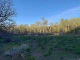 863 Bullion Canyon Rd - Photo 25