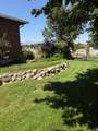 328 Heather Ridge Cir - Photo 30