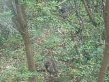 1544 Valley Rd - Photo 22