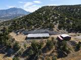 1125 Sheep Ln - Photo 1