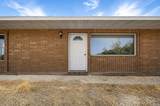 1125 Sheep Ln - Photo 3