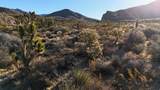 123 Old Us Highway 91 Hwy - Photo 26