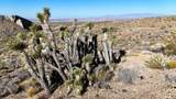 123 Old Us Highway 91 Hwy - Photo 37
