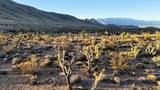 123 Old Us Highway 91 Hwy - Photo 6