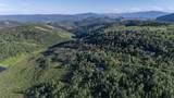 10971 Peregrine Pt - Photo 12