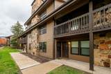 3615 Wolf Lodge Dr - Photo 2