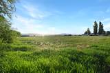 545 1600 - Photo 31