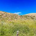160 Dry Cyn - Photo 39