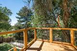 2809 Willow Hills Dr - Photo 16