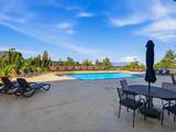 241 Vine - Photo 45