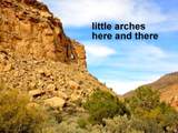 3366 Thompson Canyon Rd - Photo 10