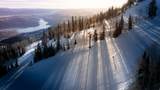 10102 Drommen Ct - Photo 4