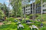 401 Silver King Dr - Photo 35