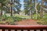401 Silver King Dr - Photo 7