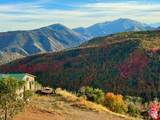 6909 Spring Dr - Photo 105