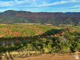 6909 Spring Dr - Photo 111
