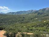 6909 Spring Dr - Photo 83