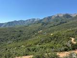 6909 Spring Dr - Photo 84