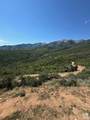 6909 Spring Dr - Photo 85