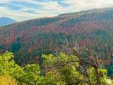 6909 Spring Dr - Photo 93