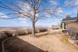 1135 Park Ridge Dr - Photo 41