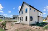1822 Ostler Peak Rd - Photo 6